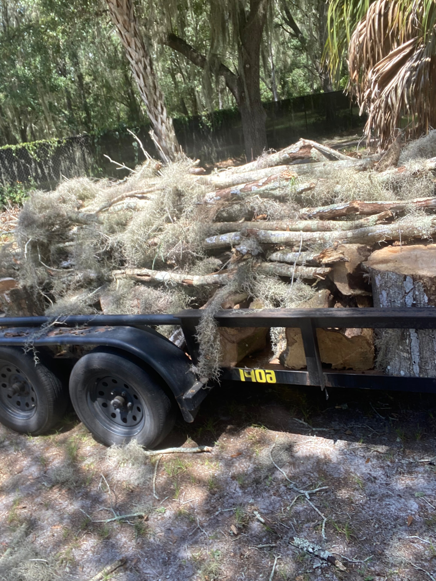 Storm Response by Holleywood Tree Service near Bloomingdale in Brandon, FL