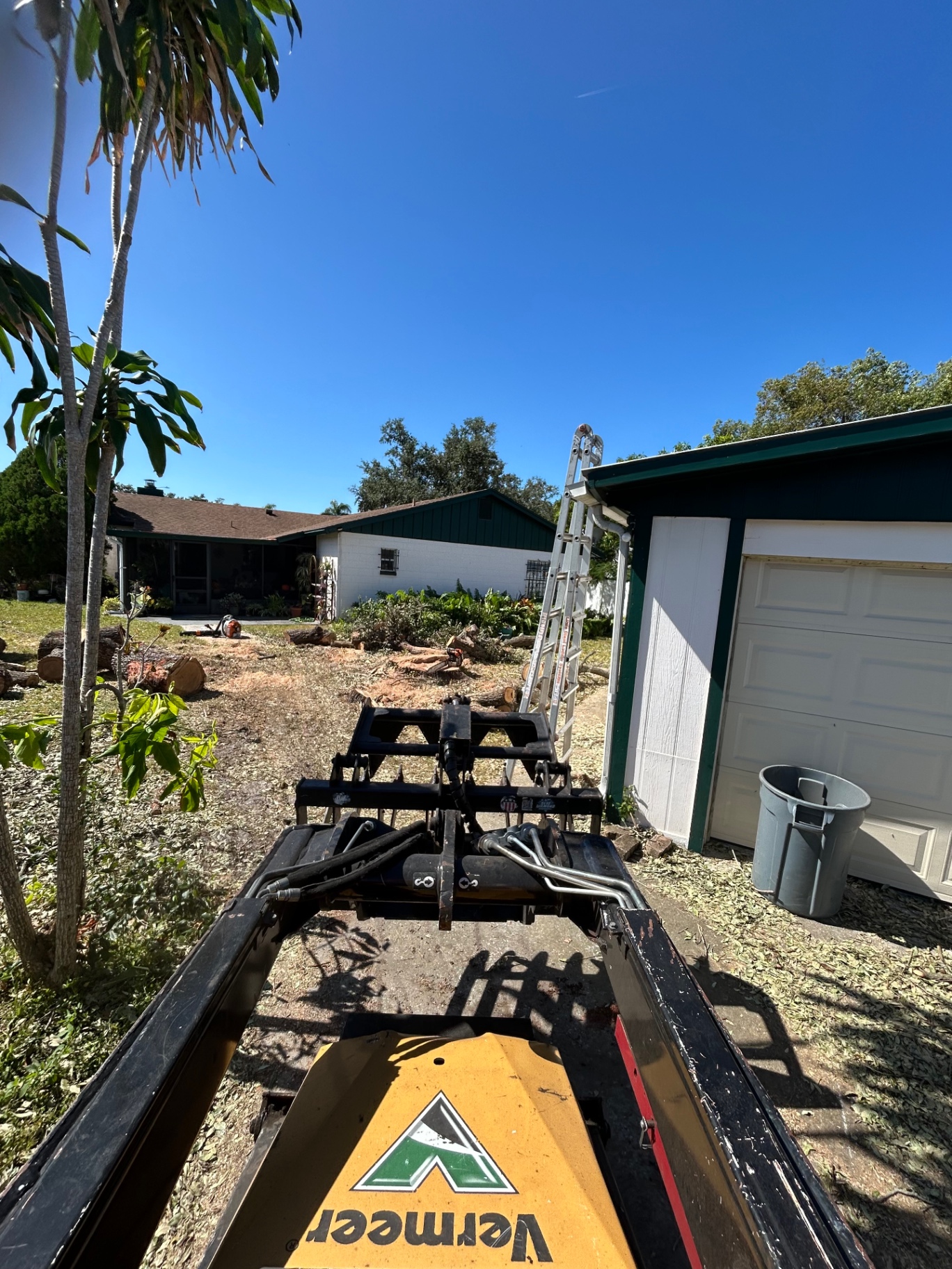 Land Clearing by Holleywood Tree Services near Downtown Safety Harbor in Safety Harbor, FL