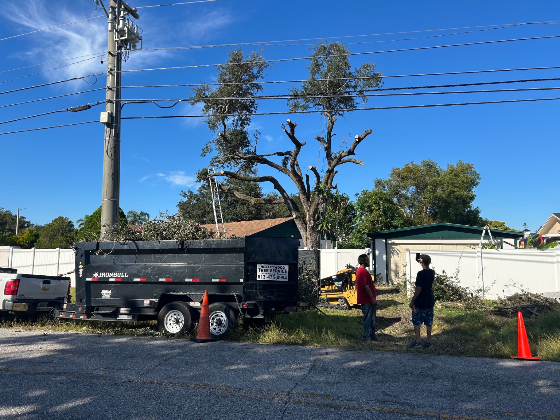 Tree Trimming by Holleywood Tree Services near Morningside in Clearwater, FL
