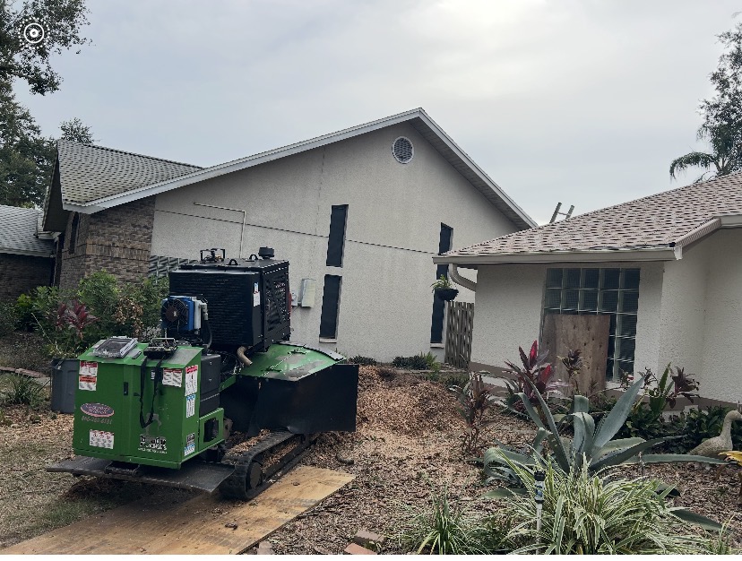 Stump Grinding by Holleywood Tree Services near Skycrest in Clearwater, FL