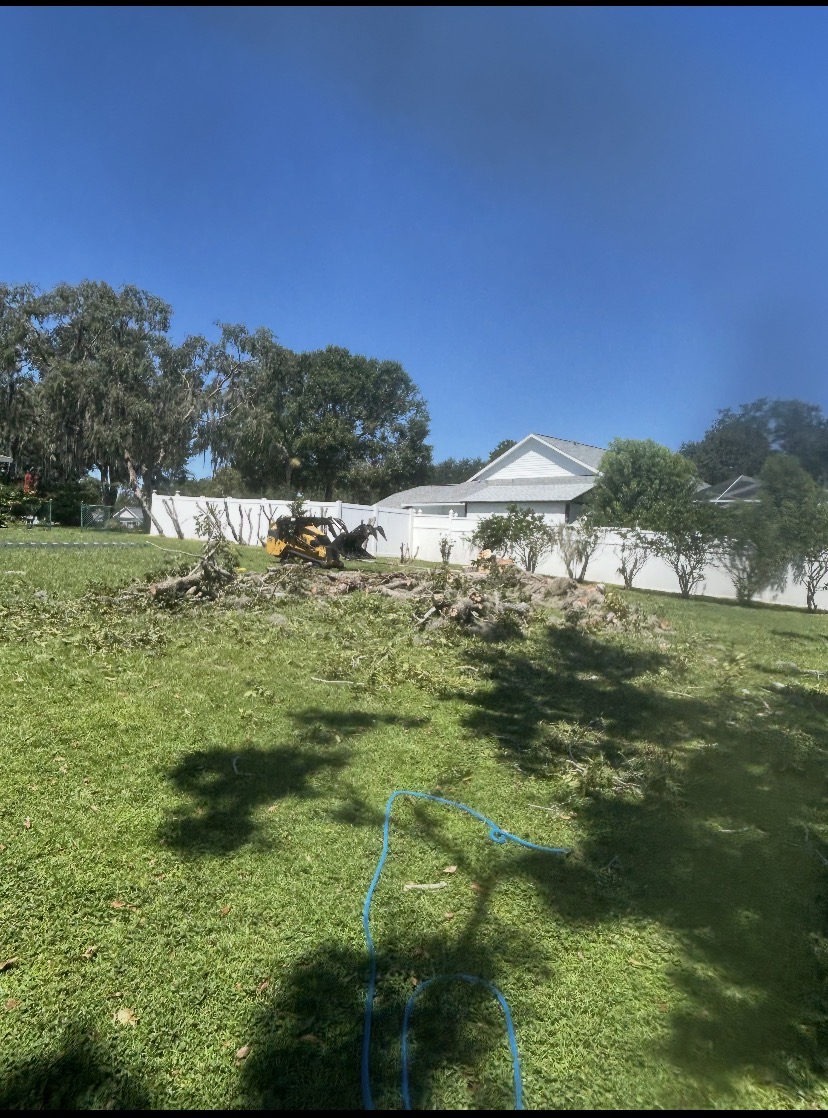 Land Clearing by Holleywood Tree Services near Del Oro in Clearwater, FL